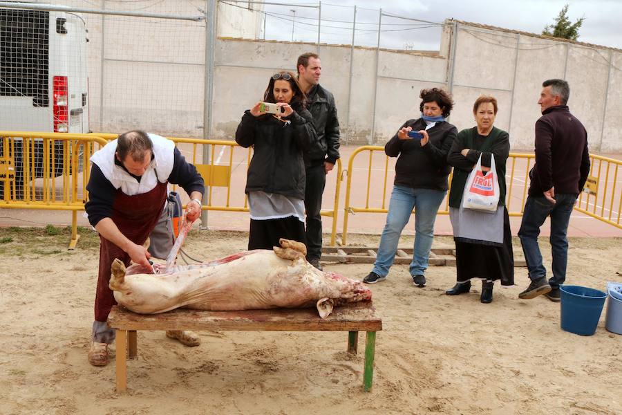 Fotos: Jornada de la matanza del cerdo en Baños de Cerrato
