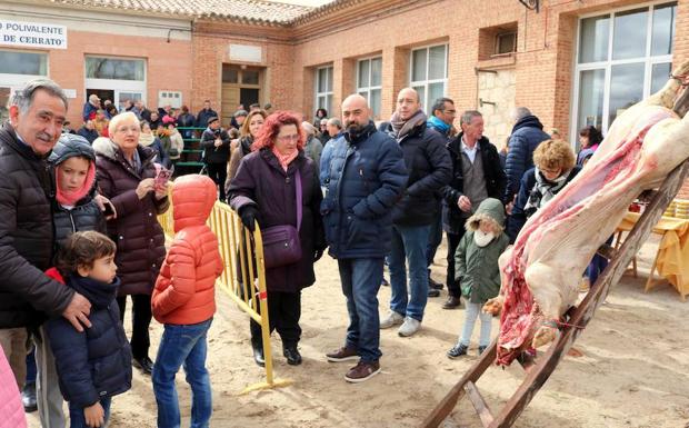 Los participantes observan el cerdo, tras las tareas de la matanza. 