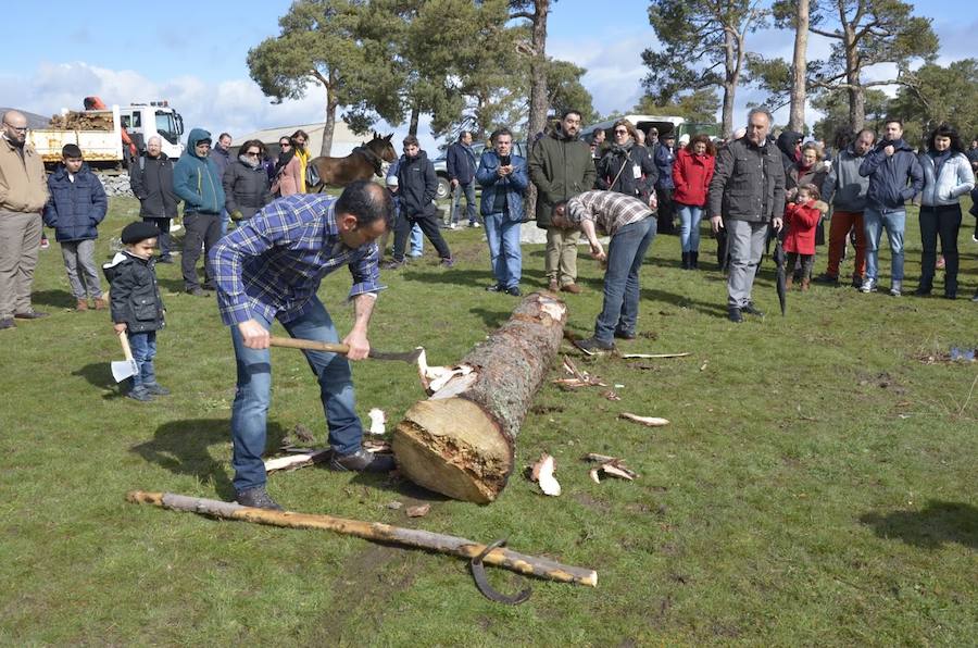 Fotos: Fiesta de los gabarreros 2018