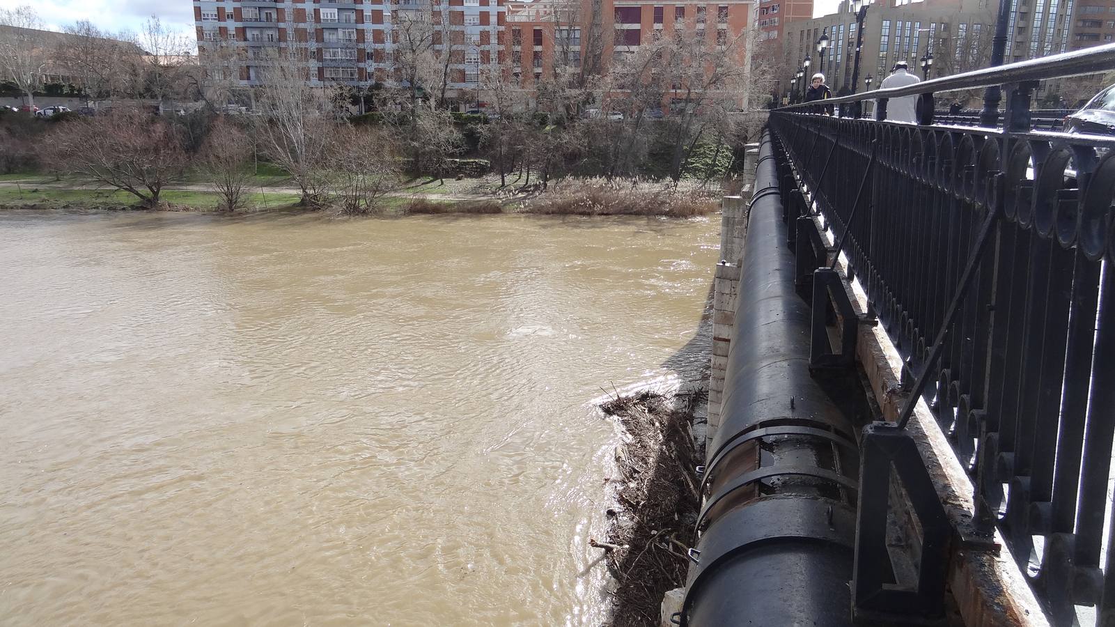 El río a su paso por la capital vallisoletana cubría ayer los paseos inferiores entre los puentes Mayor y de Poniente