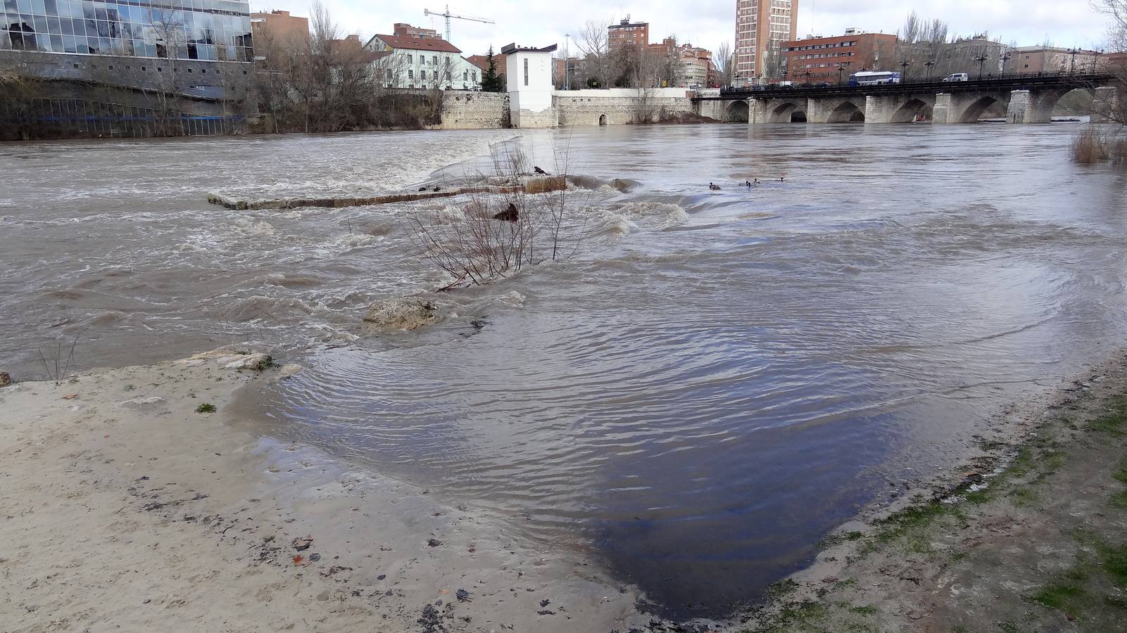 El río a su paso por la capital vallisoletana cubría ayer los paseos inferiores entre los puentes Mayor y de Poniente