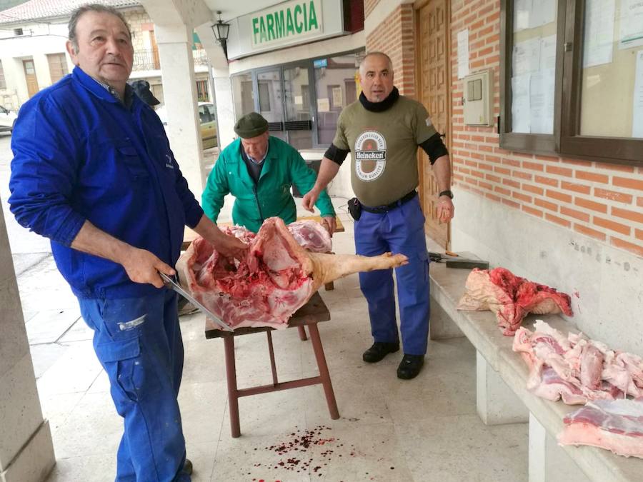 Fotos: Fiesta de la Matanza en Castrillo de Don Juan