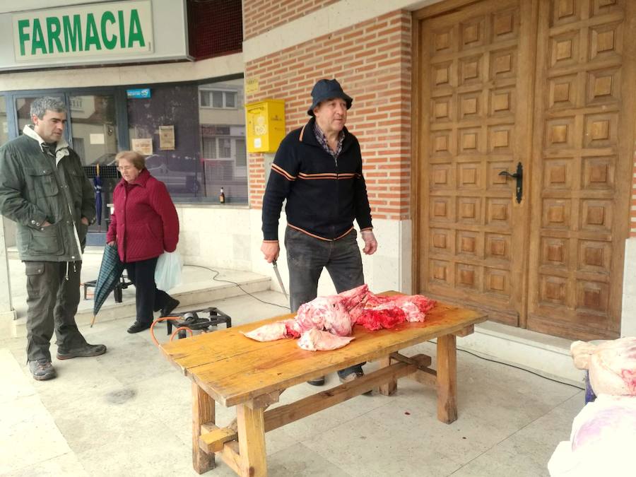 Fotos: Fiesta de la Matanza en Castrillo de Don Juan