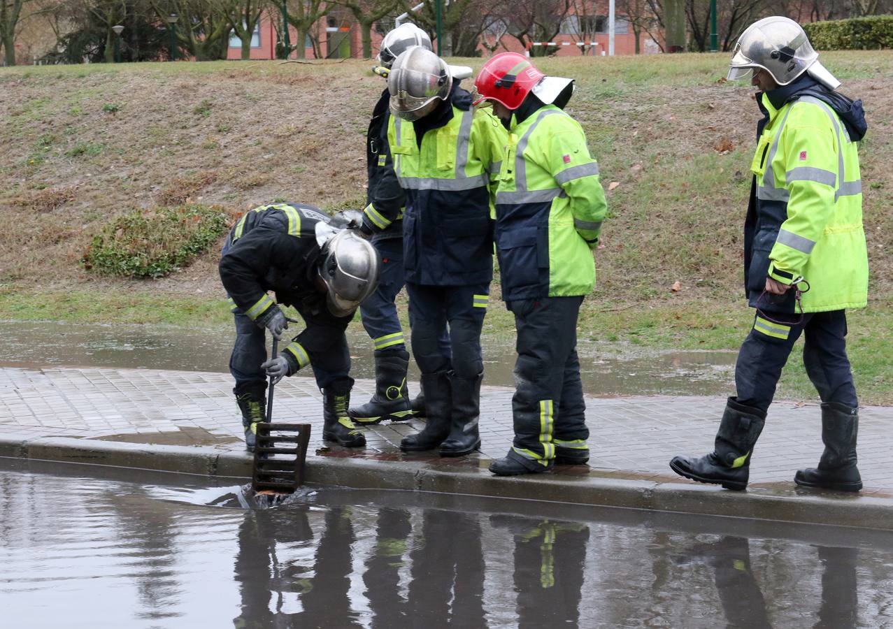 Una persona ha resultado herida en el Paseo de Zorrilla de Valladolid, a la altura del cruce con la Avenida de Zamora, tras ser alcanzado por un árbol en la cabeza