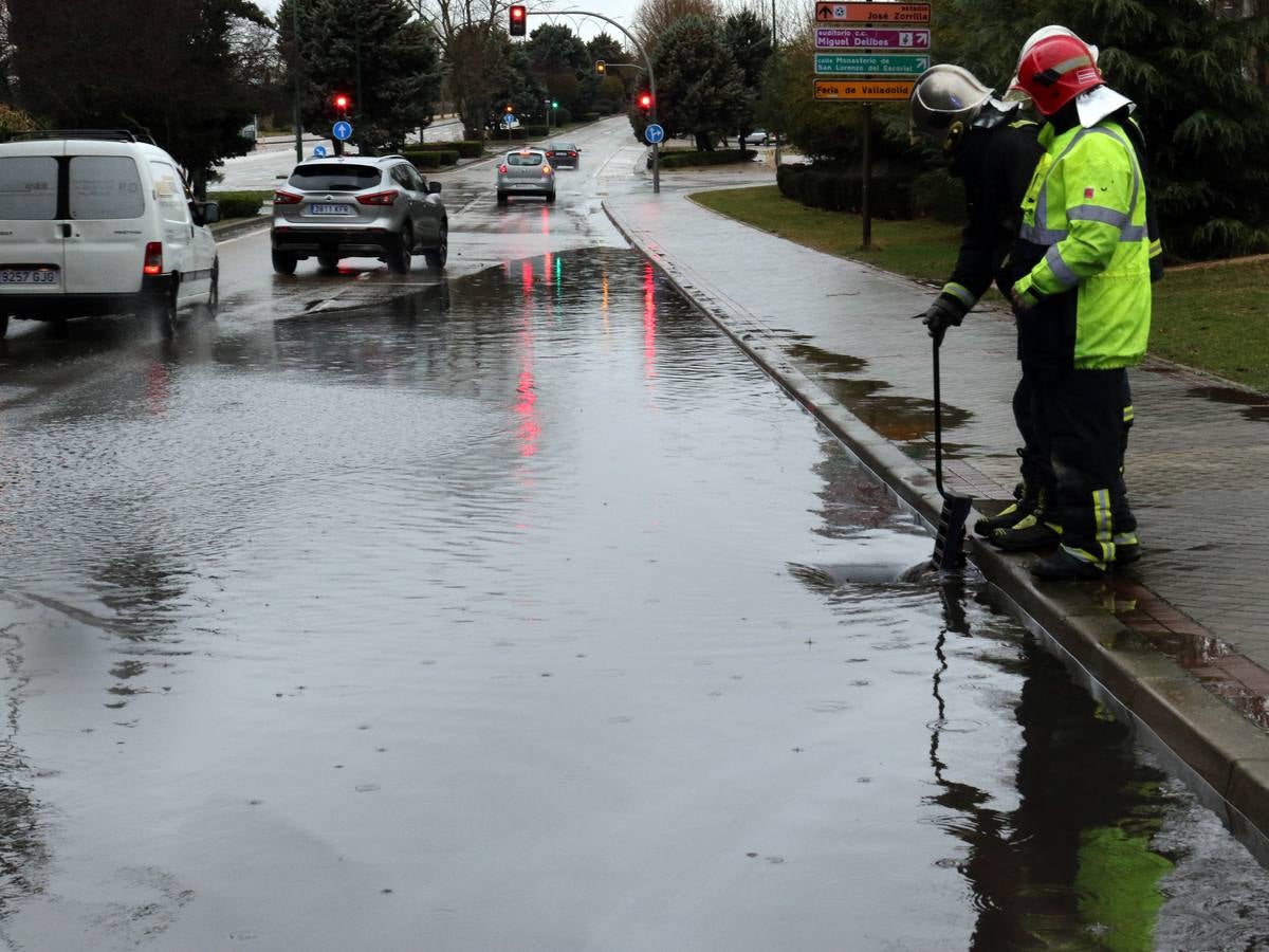 Una persona ha resultado herida en el Paseo de Zorrilla de Valladolid, a la altura del cruce con la Avenida de Zamora, tras ser alcanzado por un árbol en la cabeza