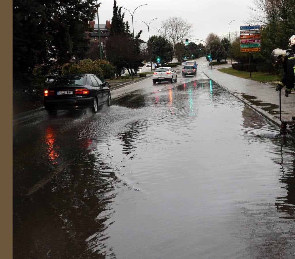 Una persona ha resultado herida en el Paseo de Zorrilla de Valladolid, a la altura del cruce con la Avenida de Zamora, tras ser alcanzado por un árbol en la cabeza