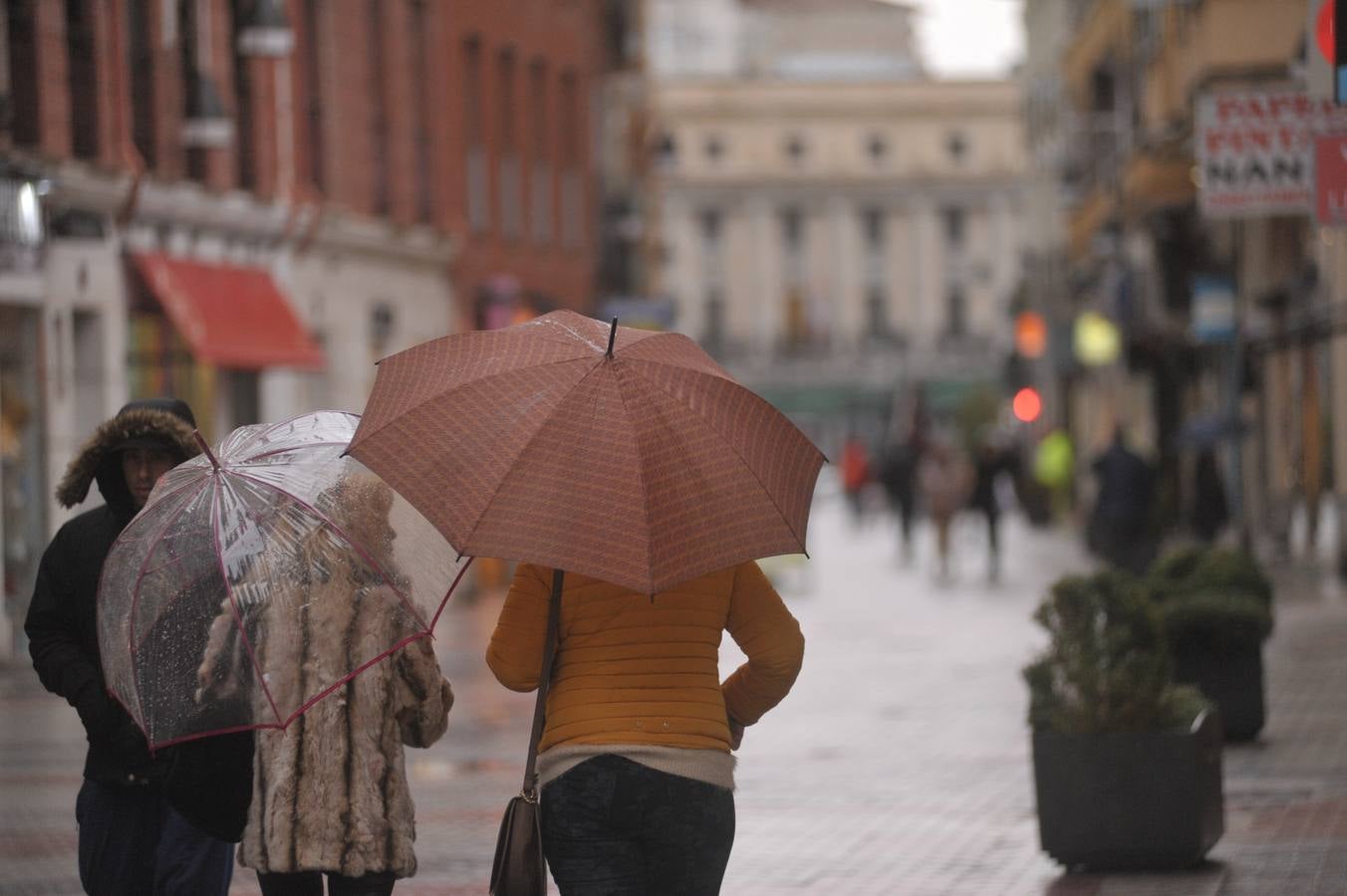 Una persona ha resultado herida en el Paseo de Zorrilla de Valladolid, a la altura del cruce con la Avenida de Zamora, tras ser alcanzado por un árbol en la cabeza