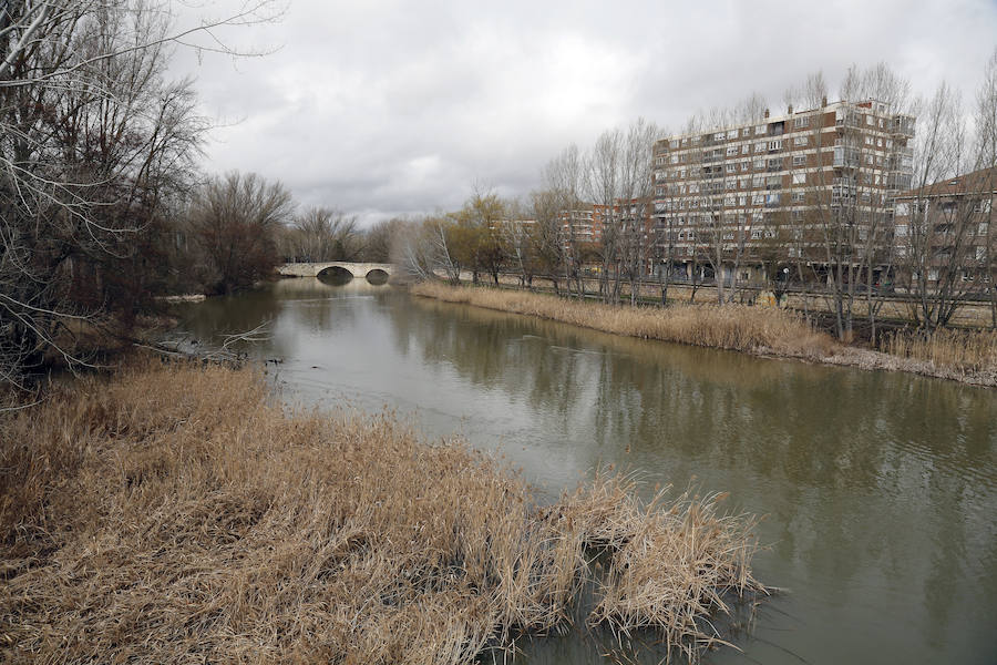 Fotos: Aguacero en la ciudad de Palencia