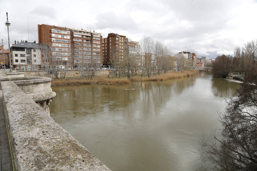 Fotos: Aguacero en la ciudad de Palencia