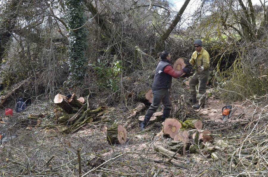 Fotos: Reparación de los daños causados por el temporal en El Espinar