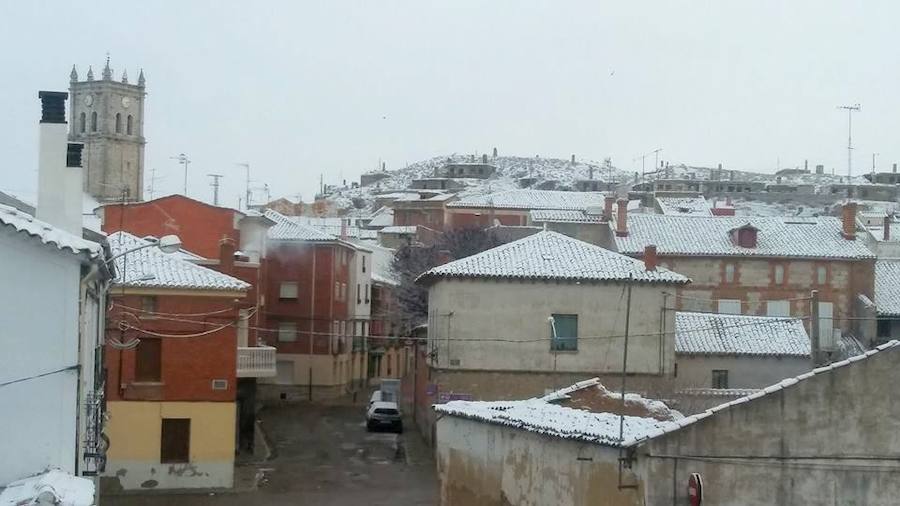 Fotos: La nieve tiñe de blanco el Cerrato palentino