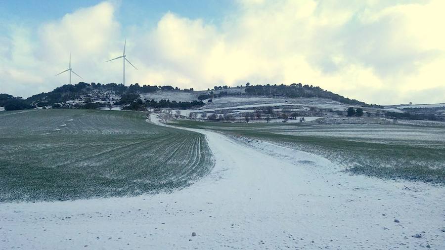 Fotos: La nieve tiñe de blanco el Cerrato palentino