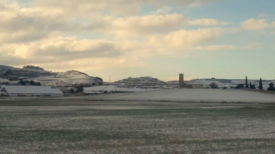 Fotos: La nieve tiñe de blanco el Cerrato palentino