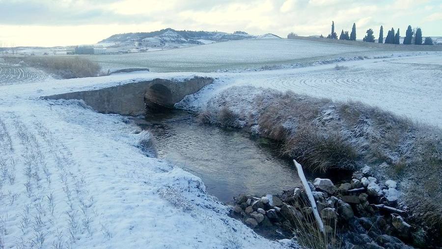 Fotos: La nieve tiñe de blanco el Cerrato palentino