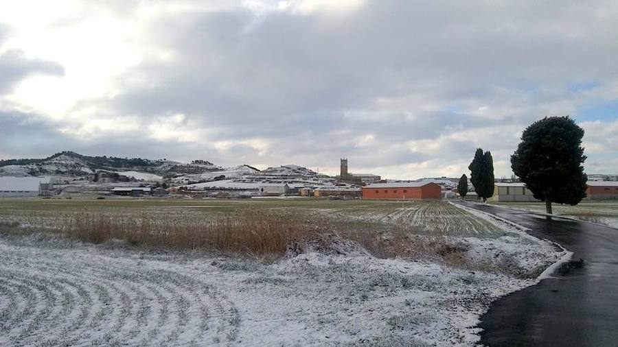 Fotos: La nieve tiñe de blanco el Cerrato palentino