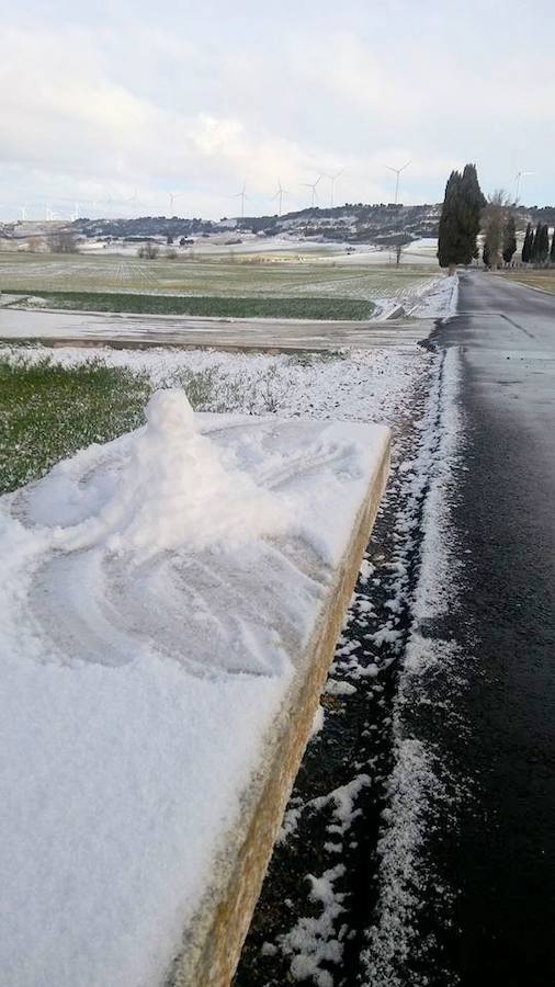 Fotos: La nieve tiñe de blanco el Cerrato palentino