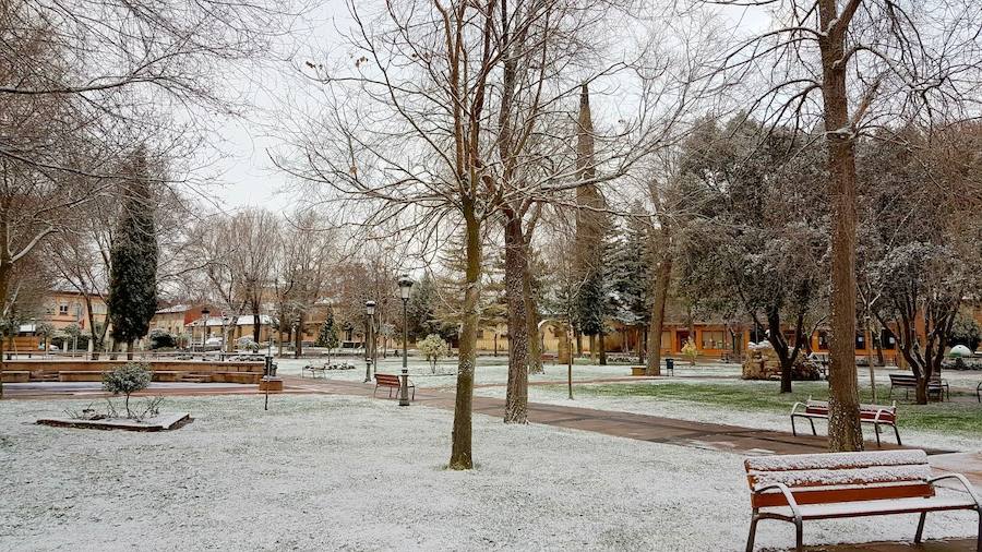 Fotos: La nieve tiñe de blanco el Cerrato palentino