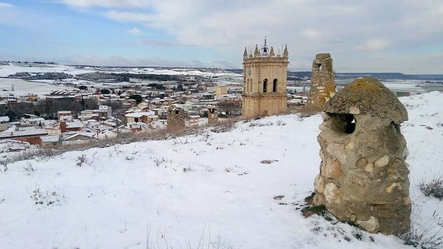 Fotos: La nieve tiñe de blanco el Cerrato palentino