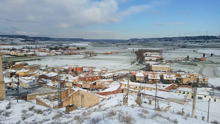 Fotos: La nieve tiñe de blanco el Cerrato palentino