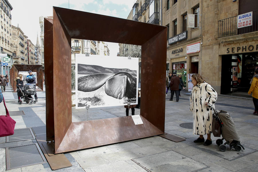 Una selección de 38 instantáneas de cinco lugares diferentes del planeta, apenas explorados por el ser humano, que se encuentra sobre grandes soportes metálicos en la plaza del Liceo y en la calle Toro