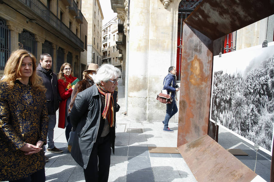 Una selección de 38 instantáneas de cinco lugares diferentes del planeta, apenas explorados por el ser humano, que se encuentra sobre grandes soportes metálicos en la plaza del Liceo y en la calle Toro