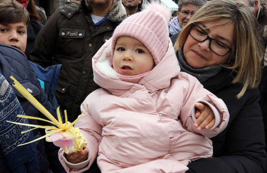 Fotos: Celebración del Domingo de Ramos en Segovia