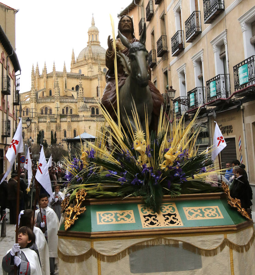 Fotos: Celebración del Domingo de Ramos en Segovia
