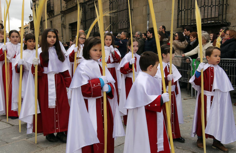 Fotos: Celebración del Domingo de Ramos en Segovia