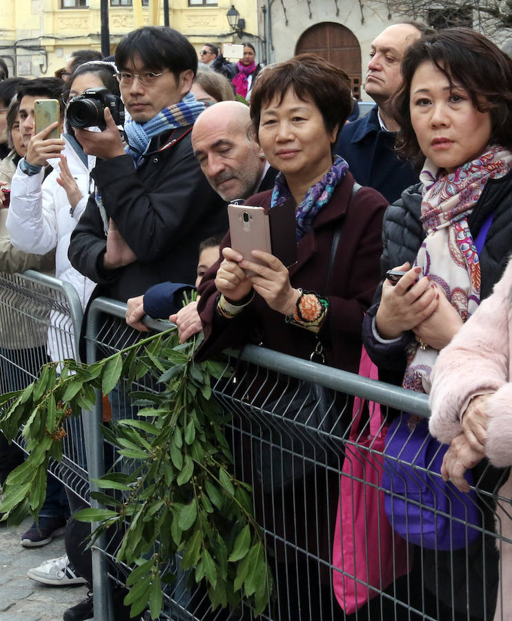 Fotos: Celebración del Domingo de Ramos en Segovia