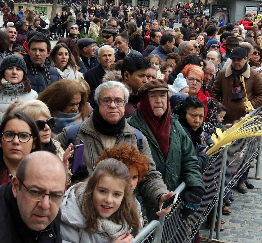 Fotos: Celebración del Domingo de Ramos en Segovia