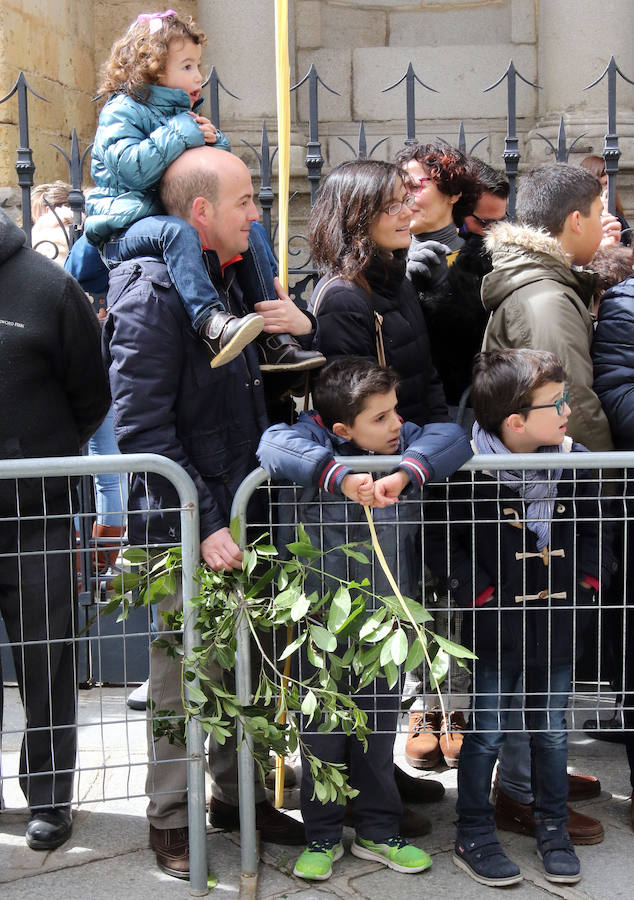 Fotos: Celebración del Domingo de Ramos en Segovia