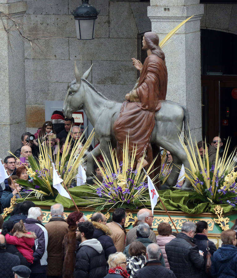 Fotos: Celebración del Domingo de Ramos en Segovia