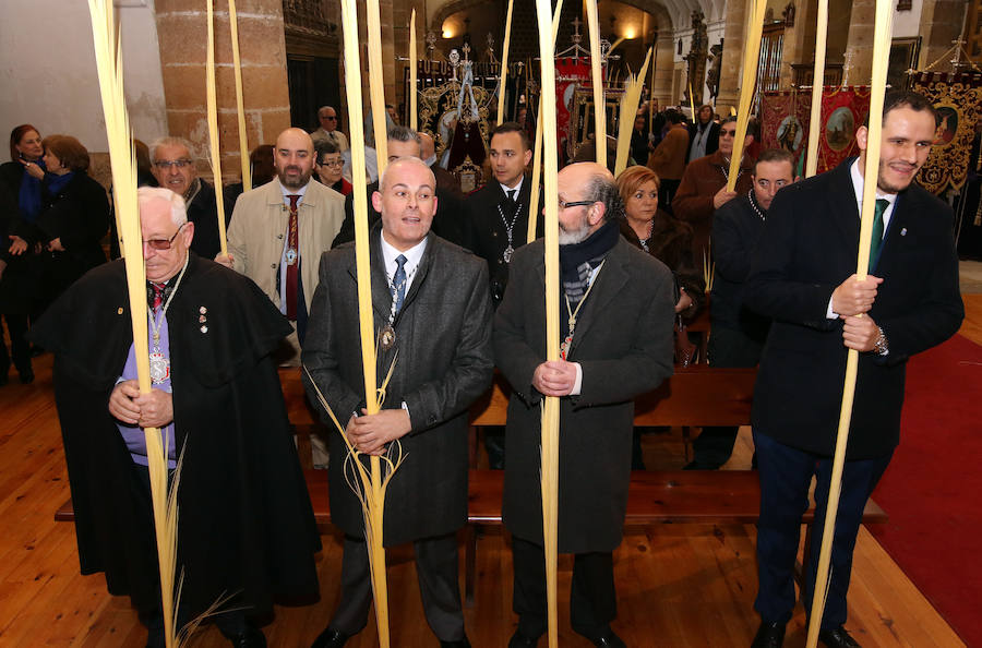 Fotos: Celebración del Domingo de Ramos en Segovia