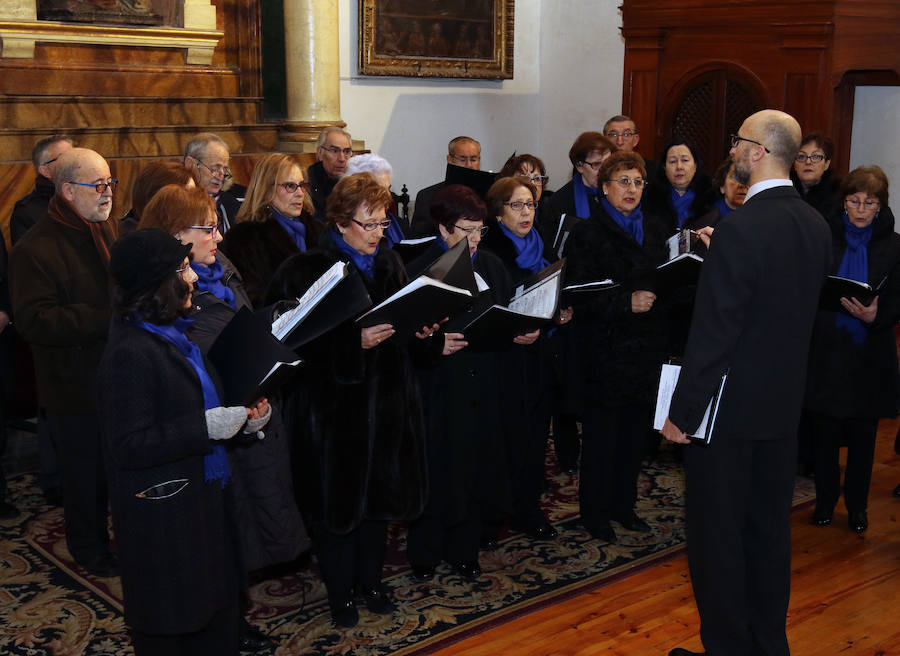 Fotos: Celebración del Domingo de Ramos en Segovia