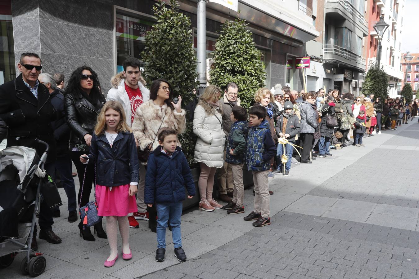 Fotos: Público en la Procesión del Domingo de Ramos en Valladolid (2/2)