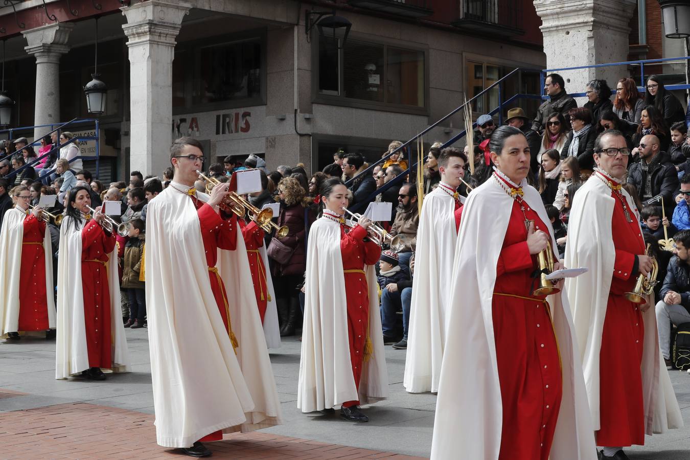 Fotos: Público en la Procesión del Domingo de Ramos en Valladolid (2/2)