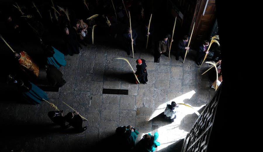 Fotos: Procesión de &#039;La borriquilla&#039; en Valladolid