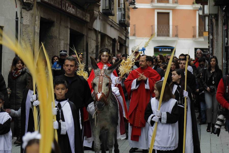 Fotos: Procesión de &#039;La borriquilla&#039; en Peñafiel