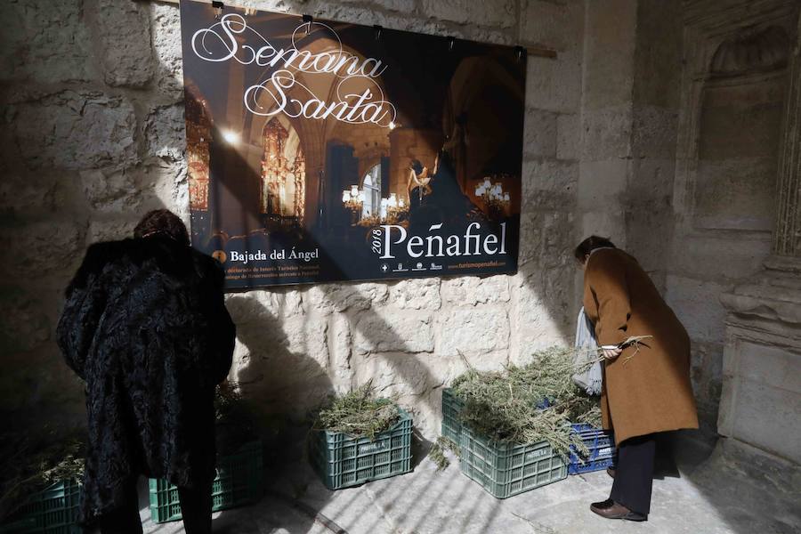 Fotos: Procesión de &#039;La borriquilla&#039; en Peñafiel
