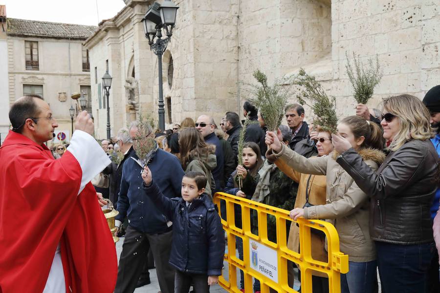 Fotos: Procesión de &#039;La borriquilla&#039; en Peñafiel