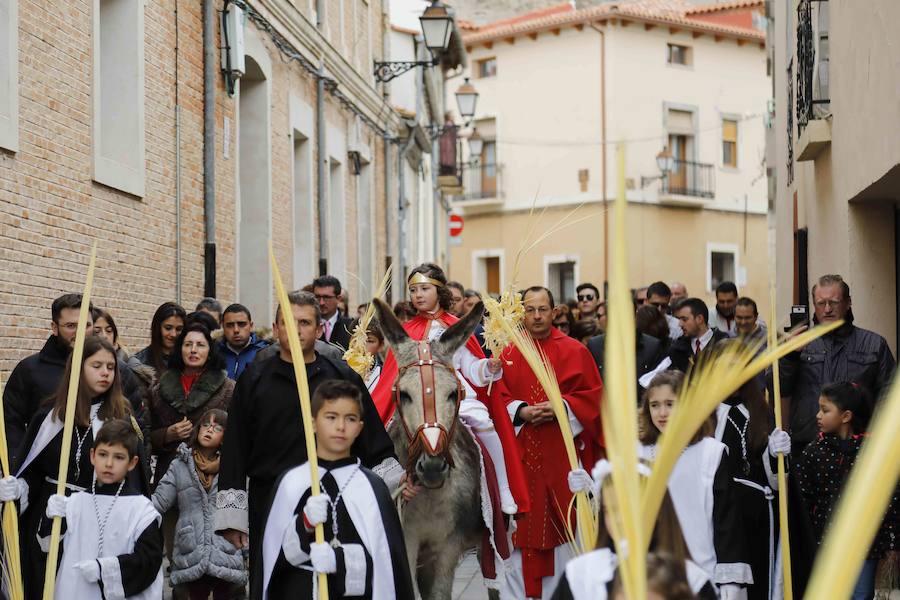 Fotos: Procesión de &#039;La borriquilla&#039; en Peñafiel