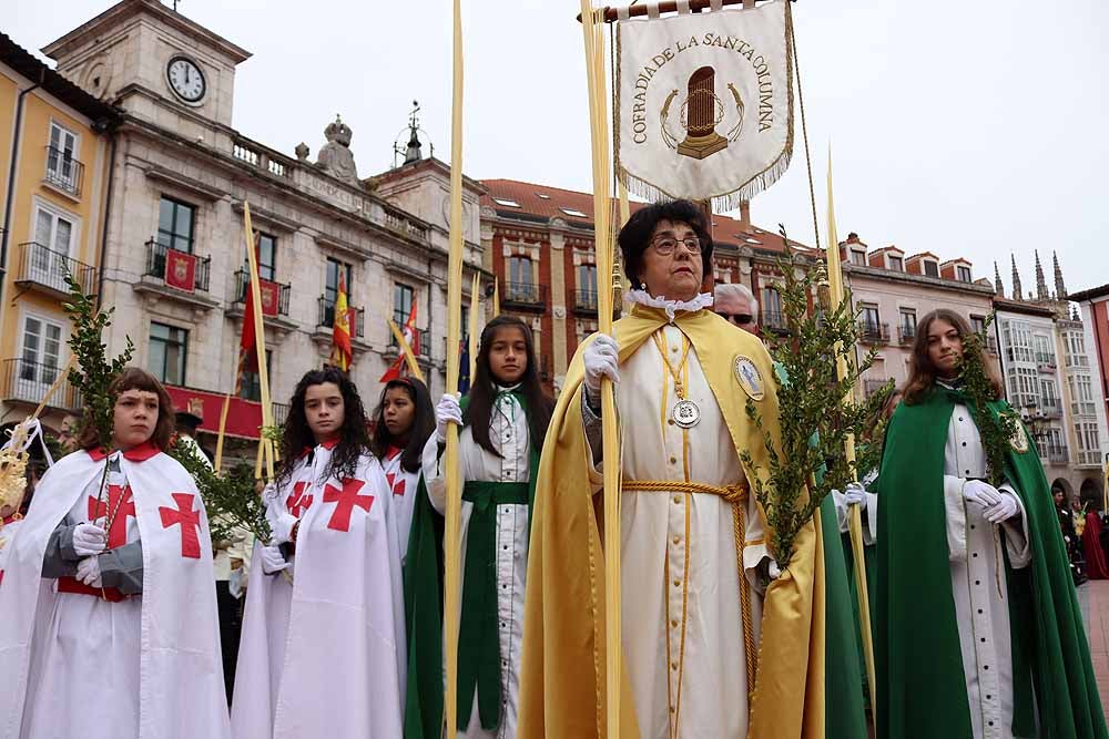 Fotos: Las imágenes de la Procesión de Jesús en La Borriquilla