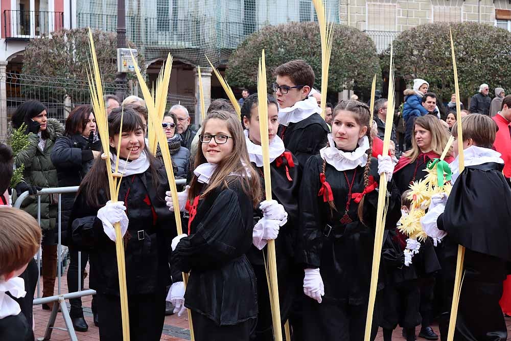 Fotos: Las imágenes de la Procesión de Jesús en La Borriquilla