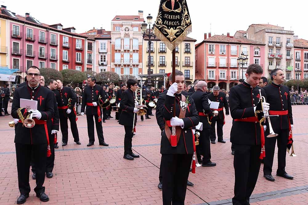 Fotos: Las imágenes de la Procesión de Jesús en La Borriquilla