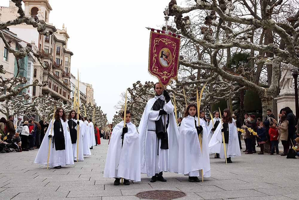 Fotos: Las imágenes de la Procesión de Jesús en La Borriquilla