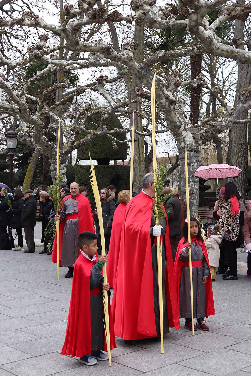 Fotos: Las imágenes de la Procesión de Jesús en La Borriquilla