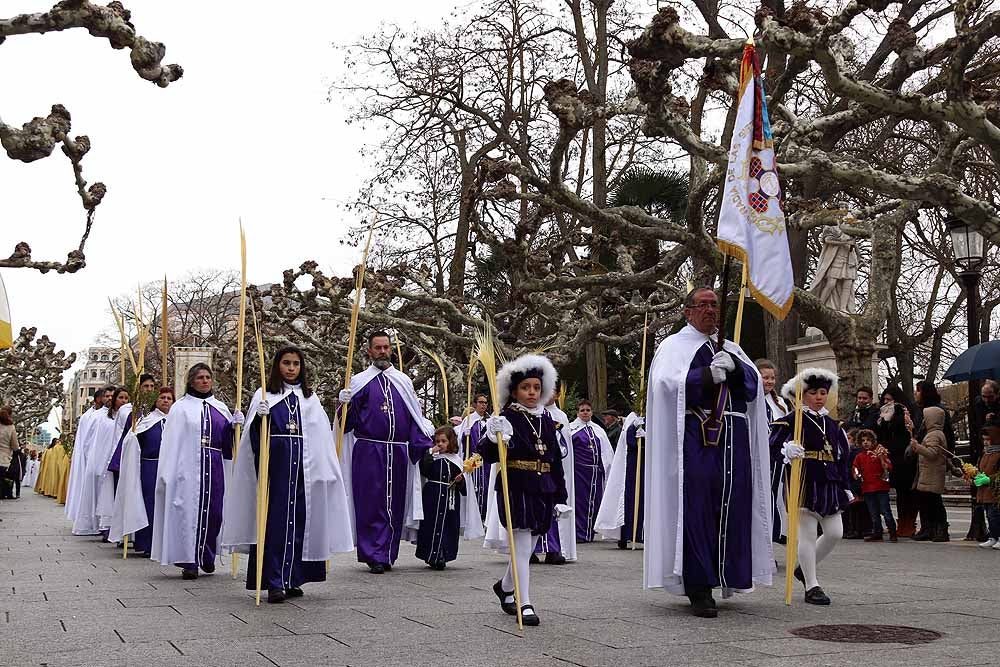 Fotos: Las imágenes de la Procesión de Jesús en La Borriquilla