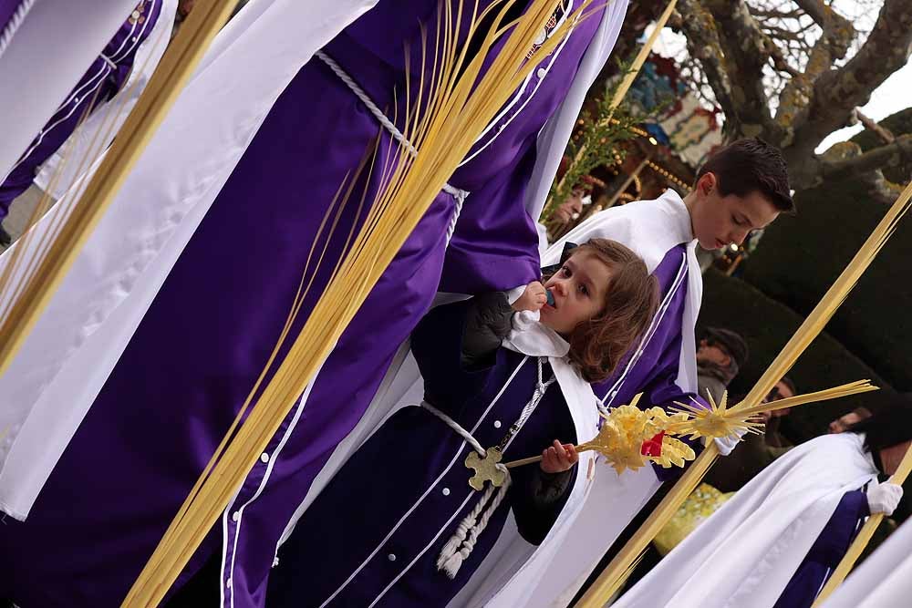 Fotos: Las imágenes de la Procesión de Jesús en La Borriquilla