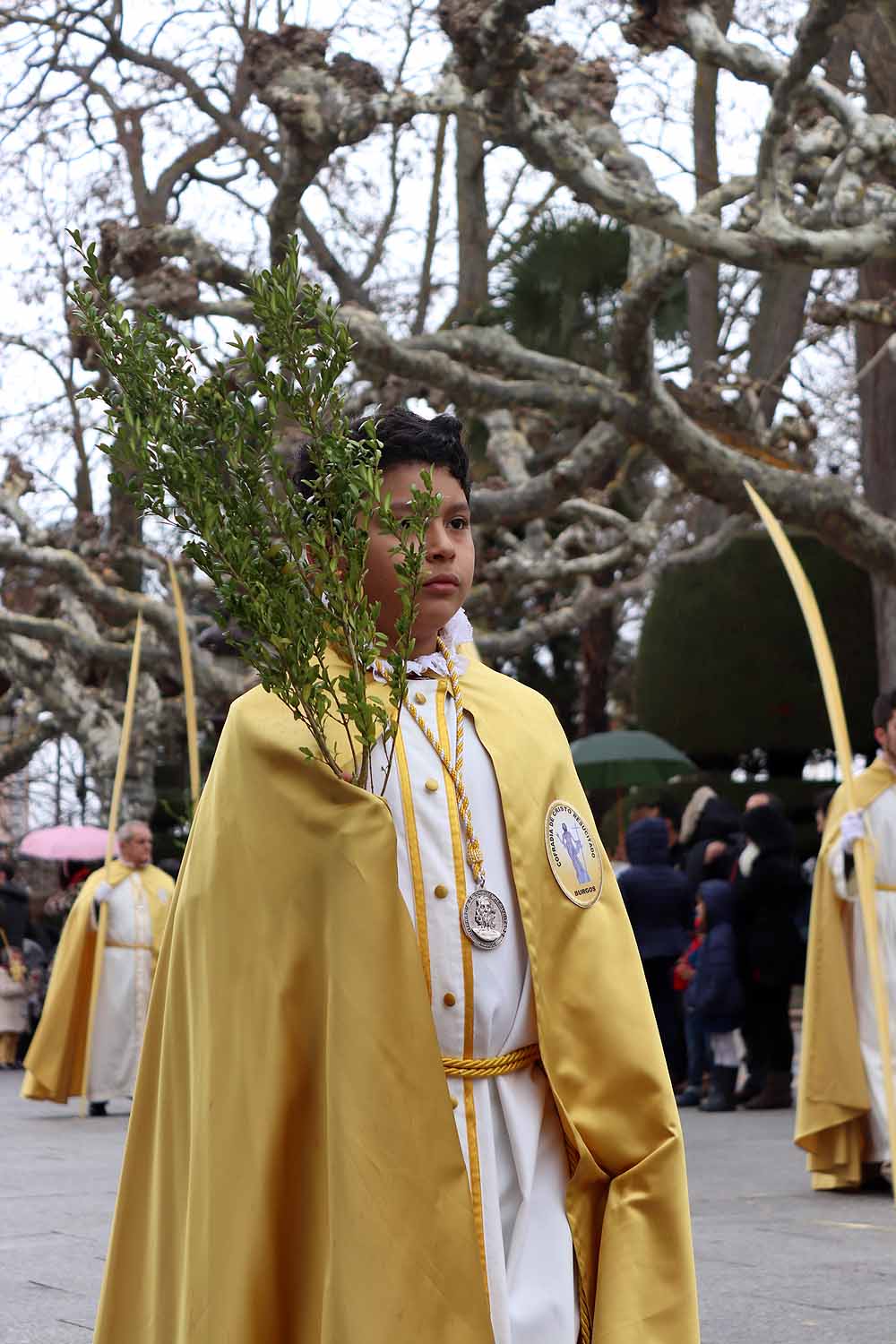 Fotos: Las imágenes de la Procesión de Jesús en La Borriquilla