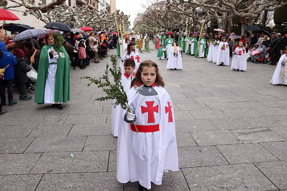 Fotos: Las imágenes de la Procesión de Jesús en La Borriquilla